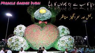 Miracle Garden Dubai | Miracle Garden Tour | Connect with Zafar