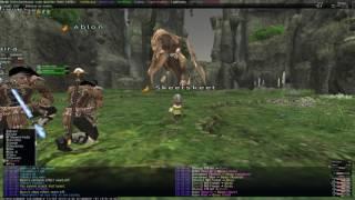 FFXI with Era - Ouryu PM4-2