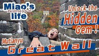 What Makes Mutianyu Great Wall So Special? Discover the Hidden Experience!