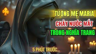 Tượng Mẹ Maria Chảy Nước Mắt Trong Nghĩa Trang — Dấu Chỉ Phục Sinh Hay Lời Cảnh Báo Cuối Cùng?