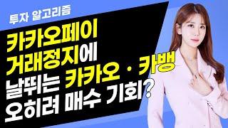 [투자 알고리즘] 카카오페이 거래정지에 날뛰는 카카오ㆍ카뱅 오히려 매수 기회? / 머니투데이방송 (증시, 증권)