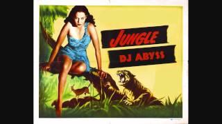 DJ Abyss - 3 Hour Ultimate Old Skool Jungle Mix (With Tracklist & Download)