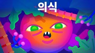 의식은 어디에서 시작되었을까 – 무의식에서 의식으로