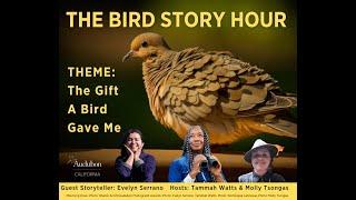 Bird Story Hour: Gift a Bird Gave Me