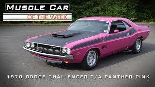 1970 Dodge Challenger T/A Panther Pink Muscle Car Of The Week Video #24