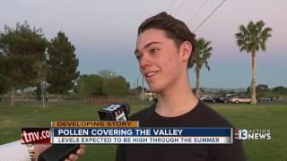 Pollen plaguing Las Vegas valley