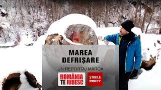 ROMÂNIA, TE IUBESC! - MAREA DEFRIȘARE