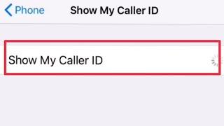 Show My Caller ID Settings in Apple iPhone 6