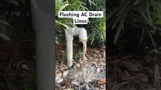 AC Drain Cleaning! | Flush Condensate Drain Line | AC Maintenance