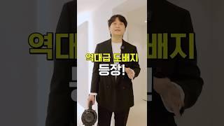 역대급 도배지! 필름같은 마감이 되.. 무몰딩, 무걸레받이, 무문선(삼무) 가능한 벽지가 나왔다?! 2025 LX신상 디아망 포티스! #인테리어팁