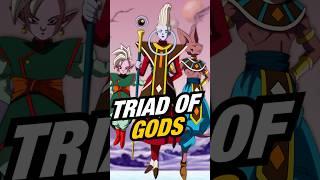 The SECRET Behind the Gods in Dragon Ball #dragonball #dragonballz #goku