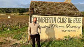 Honest Grapes Burgundy 2021 briefings: Tales of the Unexpected introduction