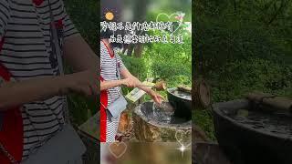 幸福是什麼？