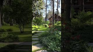 Наш один из самых популярных лесных участков в Pinterest ️
