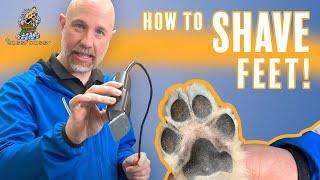 Learn How to Shave Your Dog's Feet from The Soggy Doggy