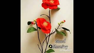 Keep smiling