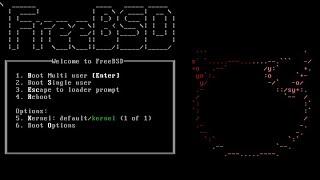 How to install FreeBSD in TrueNAS