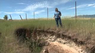 Janis Boettinger - Soil Scientist