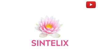 Sintelix. The Text Intelligence Solution.