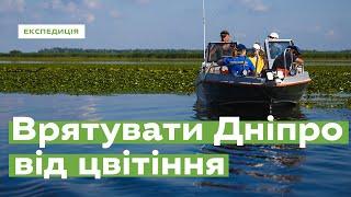 Saving the Dnipro river from algal blooms • Ukraïner