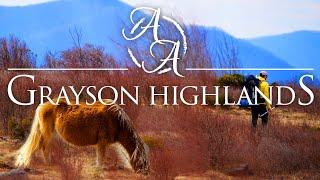 Backpacking with Wild Ponies on the Appalachian Trail | Grayson Highlands in 4K