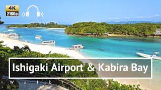 [4K/Binaural] Ishigaki Airport & Kabira Bay Walking Tour - Okinawa Japan