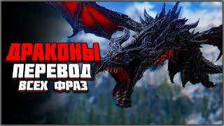 Skyrim ٠ Драконы - Перевод Всех Фраз в Skyrim | Часть 1/2