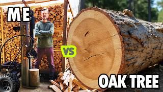 Red Oak Firewood: Pushing the limits of my machines!