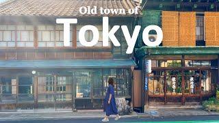 Day Trip to Old Town of Tokyo | Yanaka Ginza & Ueno Park | JAPAN TRAVEL VLOG