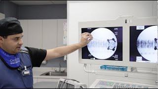 Transforaminal Injection with Dr. Giuffrida | Cantor Spine Center