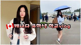 수학 시험 결과 나오는 날! A day in the life at a Canadian High School! 캐나다 유학생 vlog│헬로음이유니