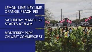 SA Parks and Recreation to give away free fruit trees