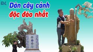 Hô biến cây ăn trái thành cây cảnh đẳng cấp khiến bao người say mê - ĐỘC LẠ BÌNH DƯƠNG