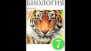 § 40 Органы пищеварения. Обмен веществ и превращение энергии.