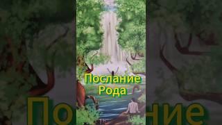Источник Любви#знаки#таро #силарода#послание#любовь#магия#наставник#маккарты#проводник#i_piola#род