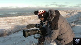 Peter von Puttkamer on Choosing Camera Gear for Wildlife and Adventure Filmmaking