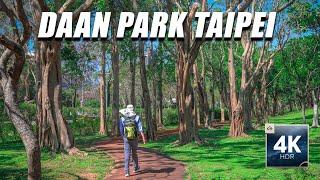 Walking Tour 4K | Exploring the Beauty of Taipei Daan Park, Taiwan