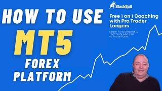 HOW TO USE MT5 to DAY TRADE with Black Bull Markets