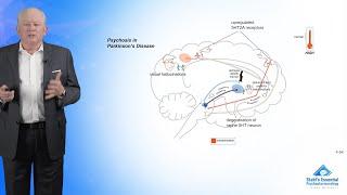 The Serotonin Hypothesis of Psychosis