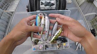 Inside 1Rod1ReelFishing's Tackle Bag 8/4/15