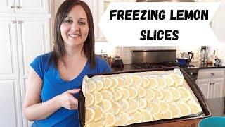 Freezing Lemon Slices #whattodowithlemons #lemons