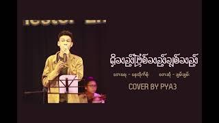 ရှိသည်ဖြစ်သည်ချစ်သည် - Chan Chan (Cover By PYA3)