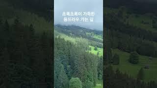 케이블카 타고 스위스 융프라우 도착 #swiss #jungfrau #스위스여행  #유럽여행 #해외여행 #알프스