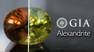 1.24ct GIA Certified Alexandrite - Paul Reinhard