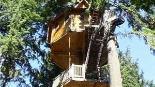 Treehouses in Takilma Oregon by Xplore Film