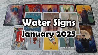 January 2025 Water Signs Tarot Reading | Cancer, Scorpio & Pisces