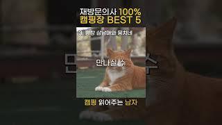 인생캠핑장 BEST 5