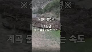 비오는날 계곡 물불어나는 속도