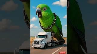 The parrot rescued the parrot trapped in all the factories and saved their life  #ai #parrot