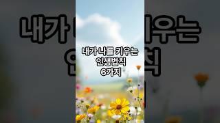 내가 나를 키우는 인생법칙 6가지 #명언 #감동글 #좋은글 #긍정적마인드 #힐링 #지혜 #멋진글귀 #감성글귀 #인생조언